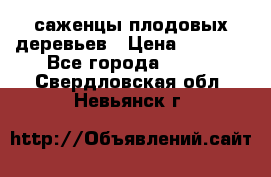 саженцы плодовых деревьев › Цена ­ 6 080 - Все города  »    . Свердловская обл.,Невьянск г.
